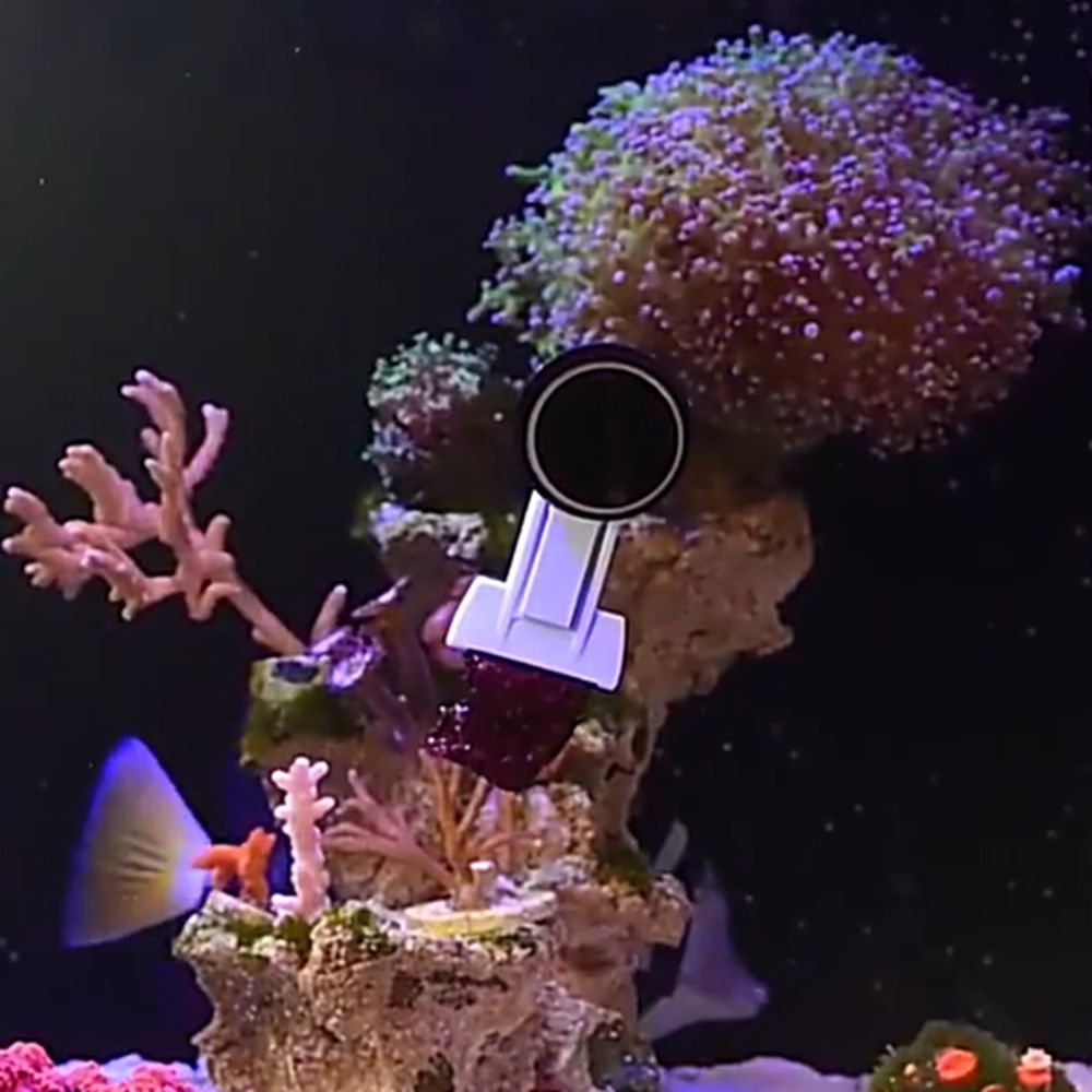 Aquarium Marine Services - Магнитный зажим для водорослей и овощей
