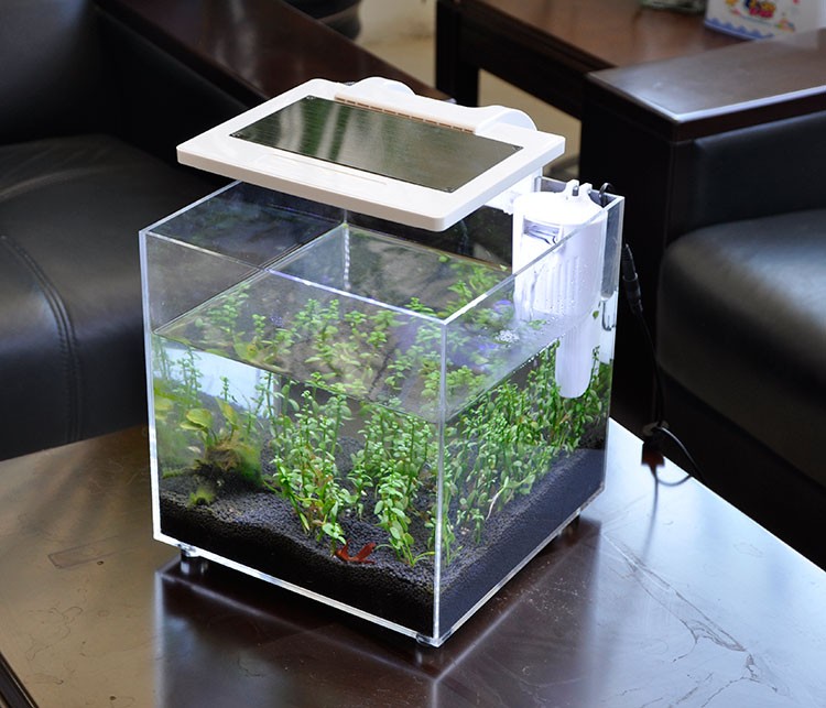 Мини-аквариум из акрила (25*25 – обзор и цена Aquarium Marina