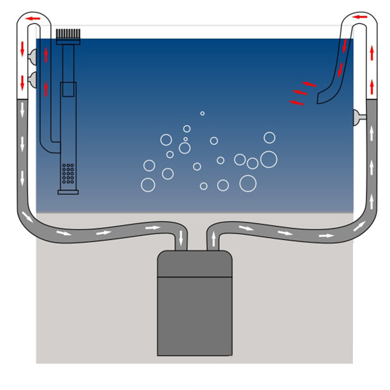 Новый аквариум Лилия труба из  – обзор и цена Marine Aquarium With Sump