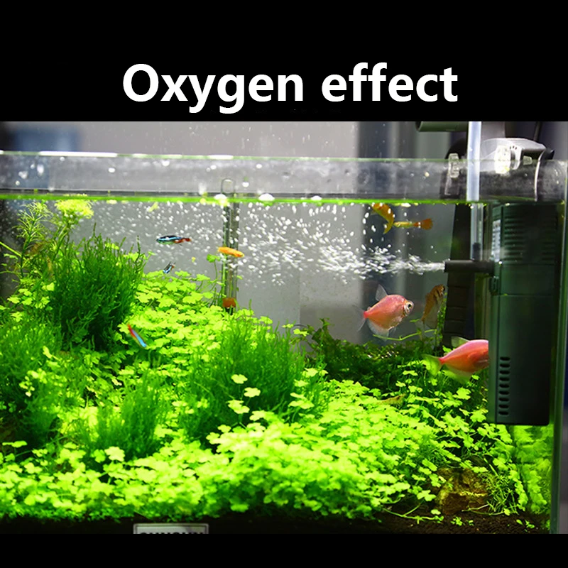 SUNSUN mini nano 111B 311B 611 – обзор и цена Marine Aquarium Uv Light